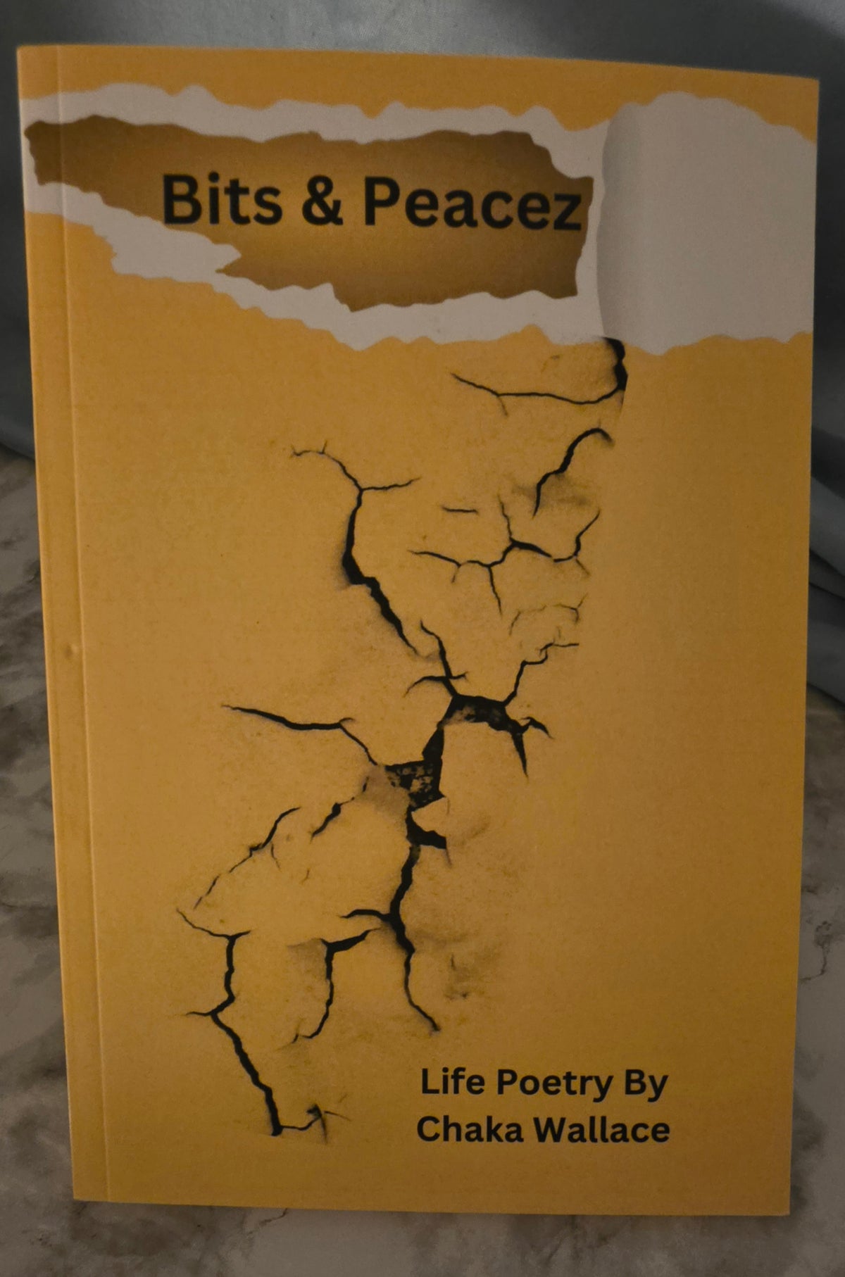 Bitz & Peacez Poetry Book